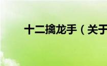 十二擒龙手（关于十二擒龙手简介）