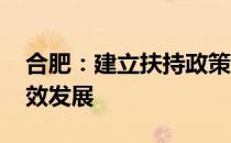 合肥：建立扶持政策体系 推动新能源产业高效发展