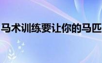 马术训练要让你的马匹感觉到舒适而不是过激