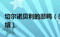 切尔诺贝利的悲鸣（关于切尔诺贝利的悲鸣介绍）