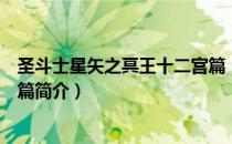 圣斗士星矢之冥王十二宫篇（关于圣斗士星矢之冥王十二宫篇简介）