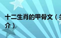 十二生肖的甲骨文（关于十二生肖的甲骨文简介）