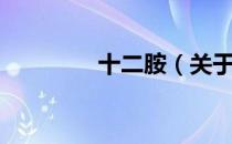 十二胺（关于十二胺简介）