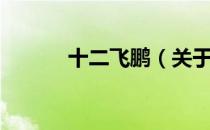 十二飞鹏（关于十二飞鹏简介）