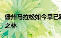 儋州马拉松如今早已跻身中国马拉松金牌赛事之林