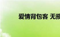 爱情背包客 无损（爱情背包客）