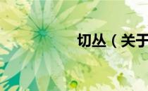 切丛（关于切丛介绍）