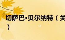 切萨巴·贝尔纳特（关于切萨巴·贝尔纳特介绍）