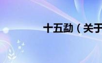 十五勐（关于十五勐简介）