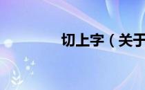 切上字（关于切上字介绍）