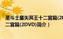 圣斗士星矢冥王十二宫篇(2DVD)（关于圣斗士星矢冥王十二宫篇(2DVD)简介）