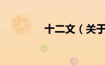 十二文（关于十二文简介）
