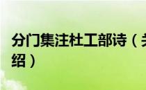 分门集注杜工部诗（关于分门集注杜工部诗介绍）