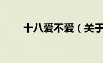 十八爱不爱（关于十八爱不爱简介）