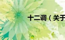 十二调（关于十二调简介）