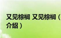 又见棕榈 又见棕榈（关于又见棕榈 又见棕榈介绍）