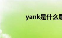yank是什么意思（yanks）