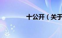 十公开（关于十公开简介）