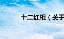 十二红棍（关于十二红棍简介）