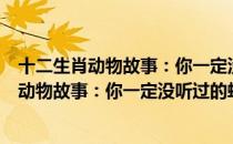 十二生肖动物故事：你一定没听过的蛇故事（关于十二生肖动物故事：你一定没听过的蛇故事简介）