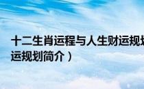 十二生肖运程与人生财运规划（关于十二生肖运程与人生财运规划简介）