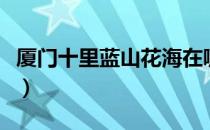 厦门十里蓝山花海在哪里（厦门十里蓝山花海）