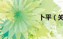 卜平（关于卜平）