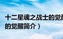 十二星魂之战士的觉醒（关于十二星魂之战士的觉醒简介）