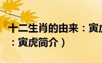 十二生肖的由来：寅虎（关于十二生肖的由来：寅虎简介）
