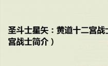 圣斗士星矢：黄道十二宫战士（关于圣斗士星矢：黄道十二宫战士简介）