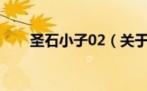 圣石小子02（关于圣石小子02简介）
