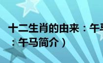 十二生肖的由来：午马（关于十二生肖的由来：午马简介）