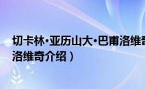 切卡林·亚历山大·巴甫洛维奇（关于切卡林·亚历山大·巴甫洛维奇介绍）