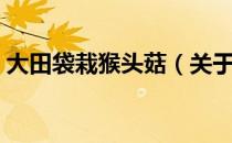 大田袋栽猴头菇（关于大田袋栽猴头菇简介）
