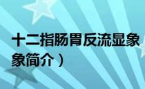 十二指肠胃反流显象（关于十二指肠胃反流显象简介）