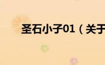 圣石小子01（关于圣石小子01简介）