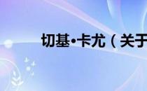 切基·卡尤（关于切基·卡尤介绍）