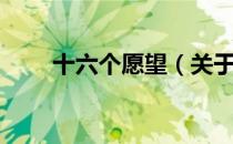 十六个愿望（关于十六个愿望简介）