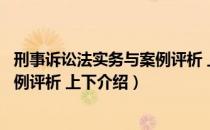 刑事诉讼法实务与案例评析 上下（关于刑事诉讼法实务与案例评析 上下介绍）