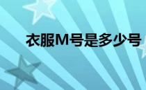 衣服M号是多少号（衣服m号是多大）