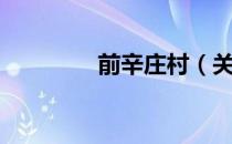 前辛庄村（关于前辛庄村）