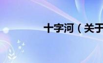 十字河（关于十字河简介）