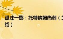孤注一掷：托特纳姆热刺（关于孤注一掷：托特纳姆热刺介绍）