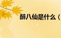醉八仙是什么（醉八仙好玩吗）