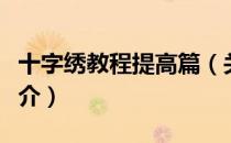 十字绣教程提高篇（关于十字绣教程提高篇简介）