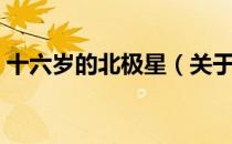 十六岁的北极星（关于十六岁的北极星简介）