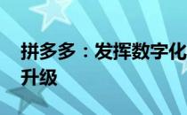 拼多多：发挥数字化优势 推动乡村产业转型升级