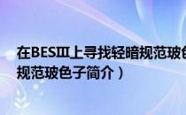 在BESIII上寻找轻暗规范玻色子（关于在BESIII上寻找轻暗规范玻色子简介）