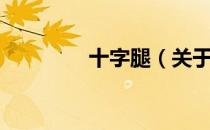 十字腿（关于十字腿简介）