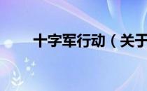十字军行动（关于十字军行动简介）